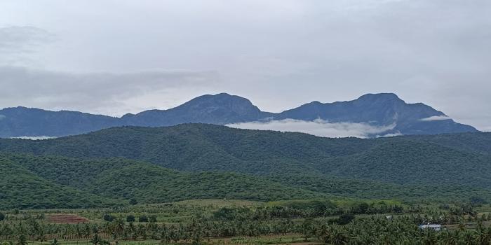 Shri Chakra Avenue DTCP Residential Layout - Pappampatti Pirivu