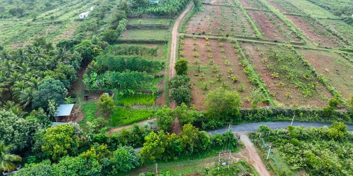 Avathar Heights - Farmland Project - Velliangadu, Karamadai