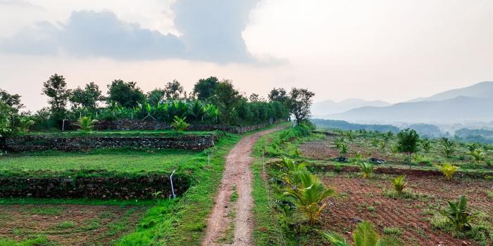 Avathar Heights - Farmland Project - Velliangadu, Karamadai