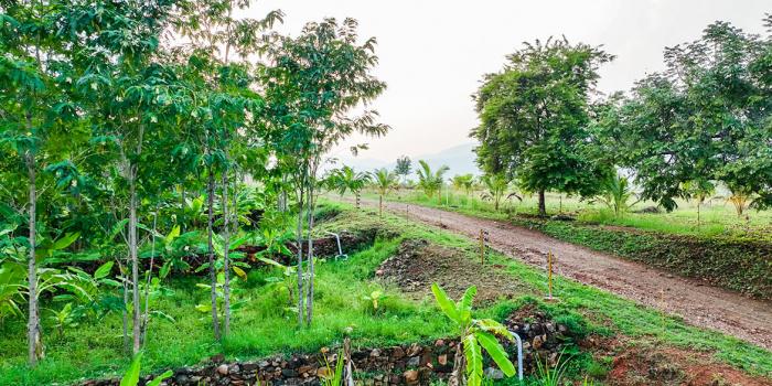 Avathar Heights - Farmland Project - Velliangadu, Karamadai