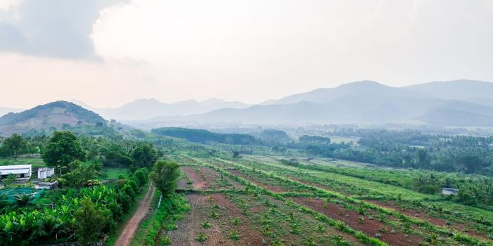 Avathar Heights - Farmland Project - Velliangadu, Karamadai