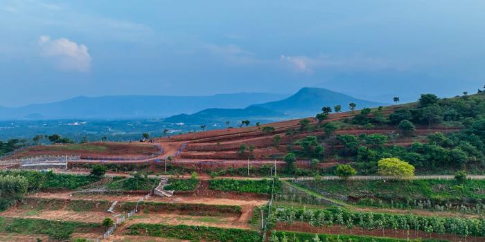 Avathar Heights - Farmland Project - Velliangadu, Karamadai