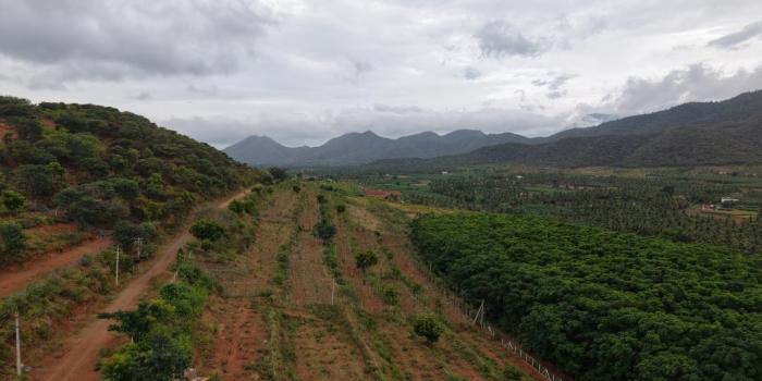 Avathar Heights - Farmland Project - Velliangadu, Avathar Heights - Farmland Project - VelliaAvathar Heights - Farmland Project - Velliangadu, Karamadaingadu, KaramadaiKaramadai